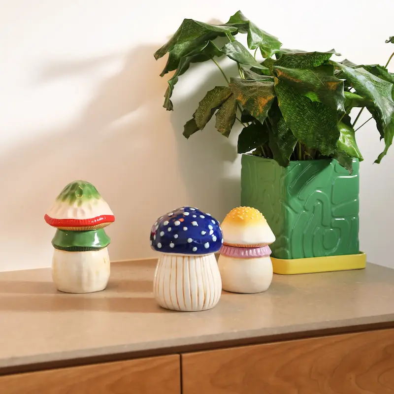 جار قارچ سحرآمیز ست سه عددی