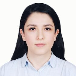 نیکتا میرکریمی