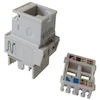 کیستون   CAT6 UTP نگزنس 