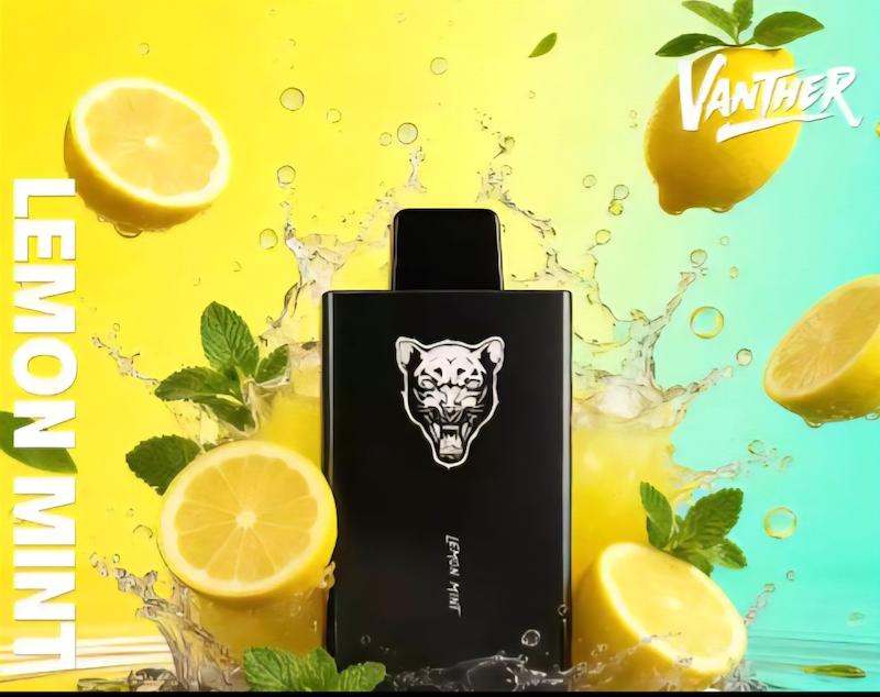 یکبار مصرف 30000 وانتر طعم لیمو نعناع  WANTHER Lemon Mint 