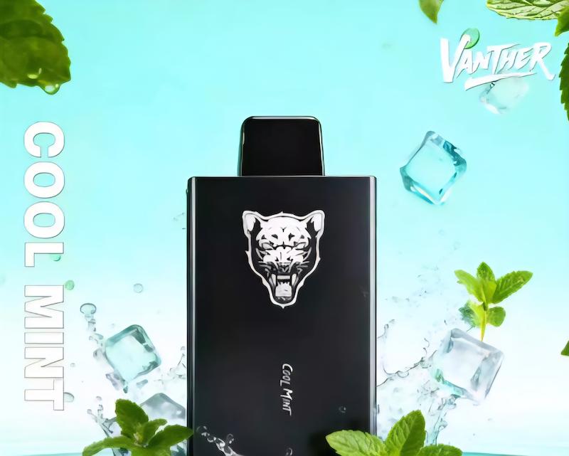 یکبار مصرف 30000 وانتر طعم نعناع خنک WANTHER Cool Mint 