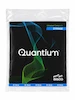 کامپوزیت دنتین کوانتیوم بیسکو BISCO Quantium Composite Body