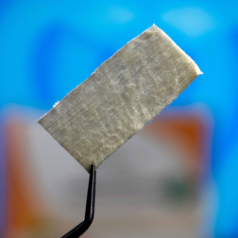 غشاء (ممبران) فاشیا لاتا ریجن Regen Fascia Lata Membrane