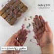 سلفون پروانه ۲۰ عددی سایز ۱۰-۱۰