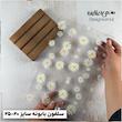 سلفون بابونه ۲۰ عددی سایز ۲۰-۲۵