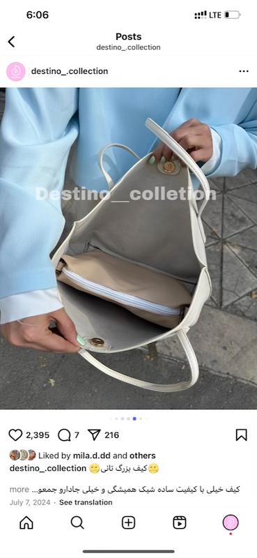 کیف بزرگ تانی