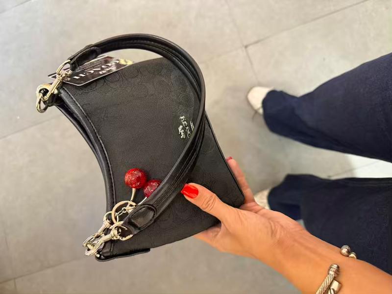 کیف هانِل 