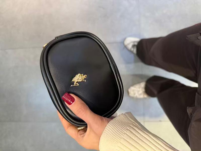 کیف مینی پولو