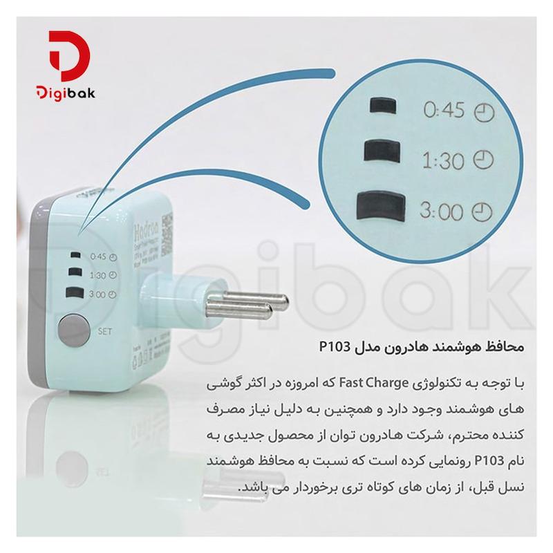 محافظ برق هوشمند تایمردار هادرون مدل P103