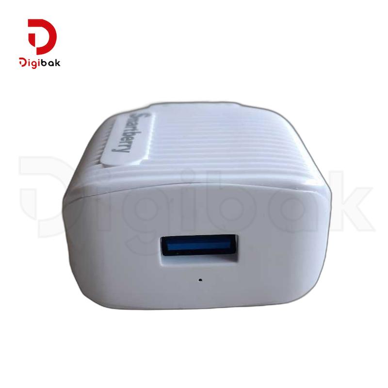 فست شارژر Smart Berry مدل X200