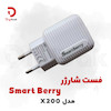 فست شارژر Smart Berry مدل X200