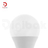 لامپ ال ای دی LEDBULB مدل حبابی 24 وات 12 ولت پایه E27
