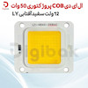 ال ای دی COB پروژکتوری 50 وات 12 ولت سفید آفتابی برند LY