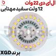 ال ای دی 22 وات 12 ولت سفید مهتابی برند XGD