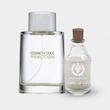 عطر کنت کول ری اکشن