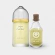عطر کارتیر پاشا
