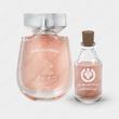 عطر کرید وایند فلاورز