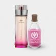 عطر لاگوست تاچ آف پینک