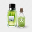 عطر آزارو آکوا ورد