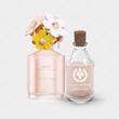 عطر مارک جاکوبز دیسی سو فرش