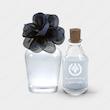 عطر هالیستر ادیسون