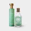عطر هرمتیکا امبربی