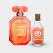 عطر ویکتوریا سکرت بامب شل ساندرنچند