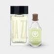 عطر ایو سن لورن جاز