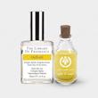 عطر دیمتر فرگرنس گل نرگس