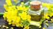 روغن کلزا(3عددبطری یک لیتری)