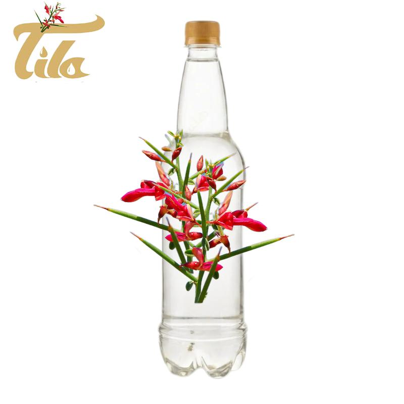 عرق خارشتر تیلا