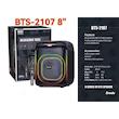 خرید اسپیکر Brodu BTS-2107 با میکروفون بی‌سیم و صدای قدرتمند