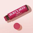 بالم لب  رنگی daisy برتز بیز | Burts bees daisy tinted lip balm