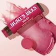 بالم لب  رنگی daisy برتز بیز | Burts bees daisy tinted lip balm