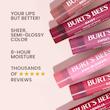 بالم لب  رنگی daisy برتز بیز | Burts bees daisy tinted lip balm