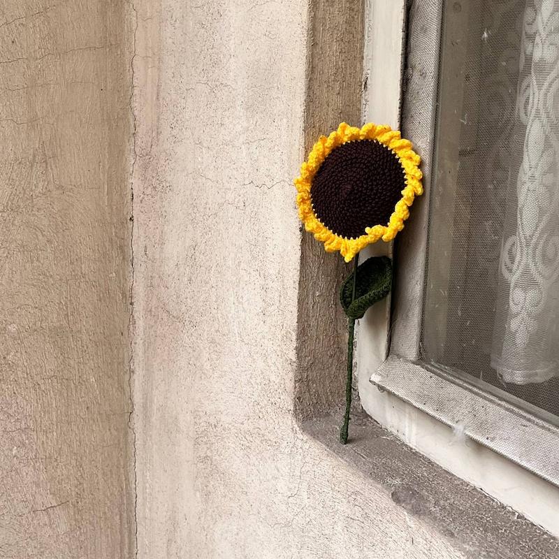 گل آفتاب گردون بافتنی