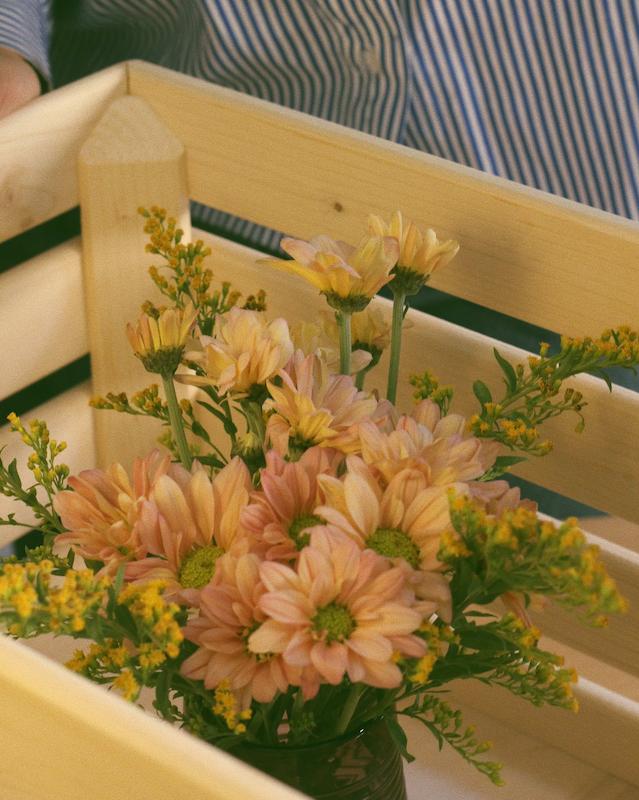 سبد چوبی نظم‌دهنده