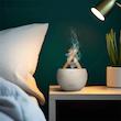 دستگاه بخور و خوشبو کننده هوای گرین لاین مدل Green Lion Flame mist Air diffuser