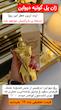 ادکلن ژان پل گوتیه دیوین | Jean Paul Gaultier Divine
