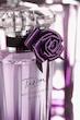Lancome Tresor Midnight Rose