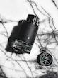 Mont Blanc Explorer