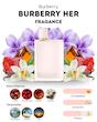 BURBERRY - Burberry Her باربری هر (بربری هر)