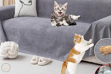چرا شال مبل برای خانه‌ های دارای حیوان خانگی ضروری است؟
