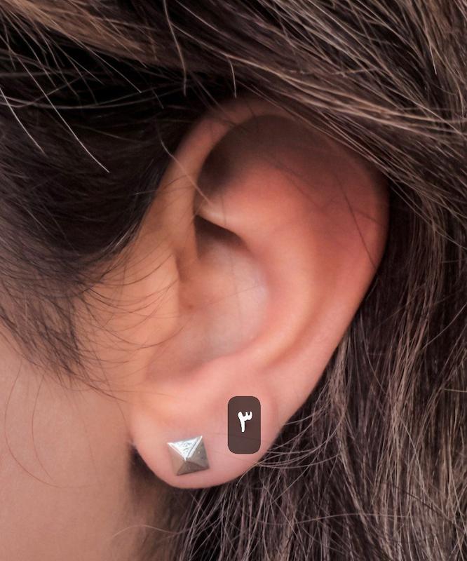 گل گوش حجمی هندسی