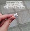 گل گوش نقره بدون‌سوراخ شاخ مردانه