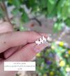 گوشواره نقره مردانه اعداد