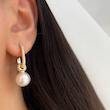 گوشواره ژوپینگ،‌کد 673