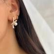 گوشواره ژوپینگ، کد 756