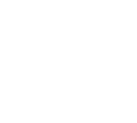 دوسین