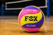 توپ والیبال fox زنبوری